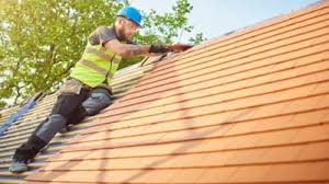 Professional Roofing Service in Rio Rico, AZ