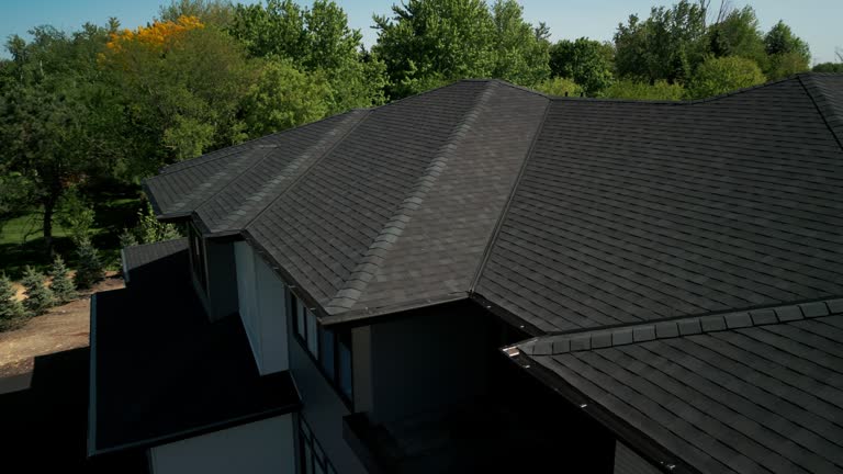 Best Roof Leak Repair  in Rio Rico, AZ