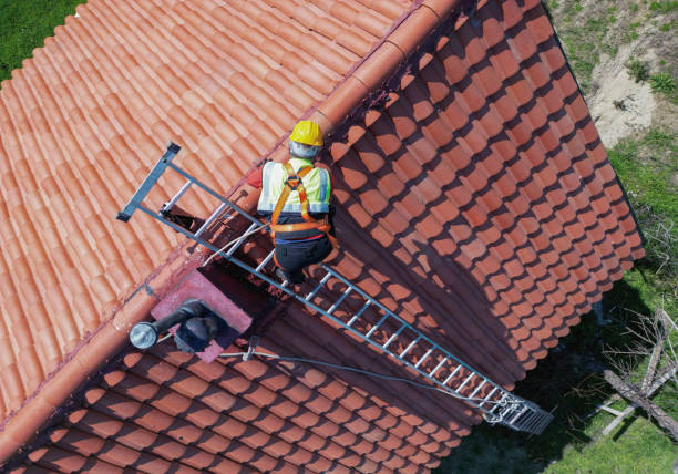 Best Tile Roofing Installation  in Rio Rico, AZ