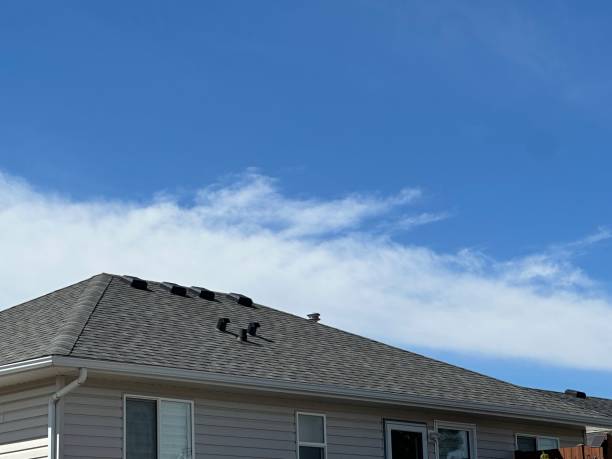 Best Sheet Metal Roofing  in Rio Rico, AZ